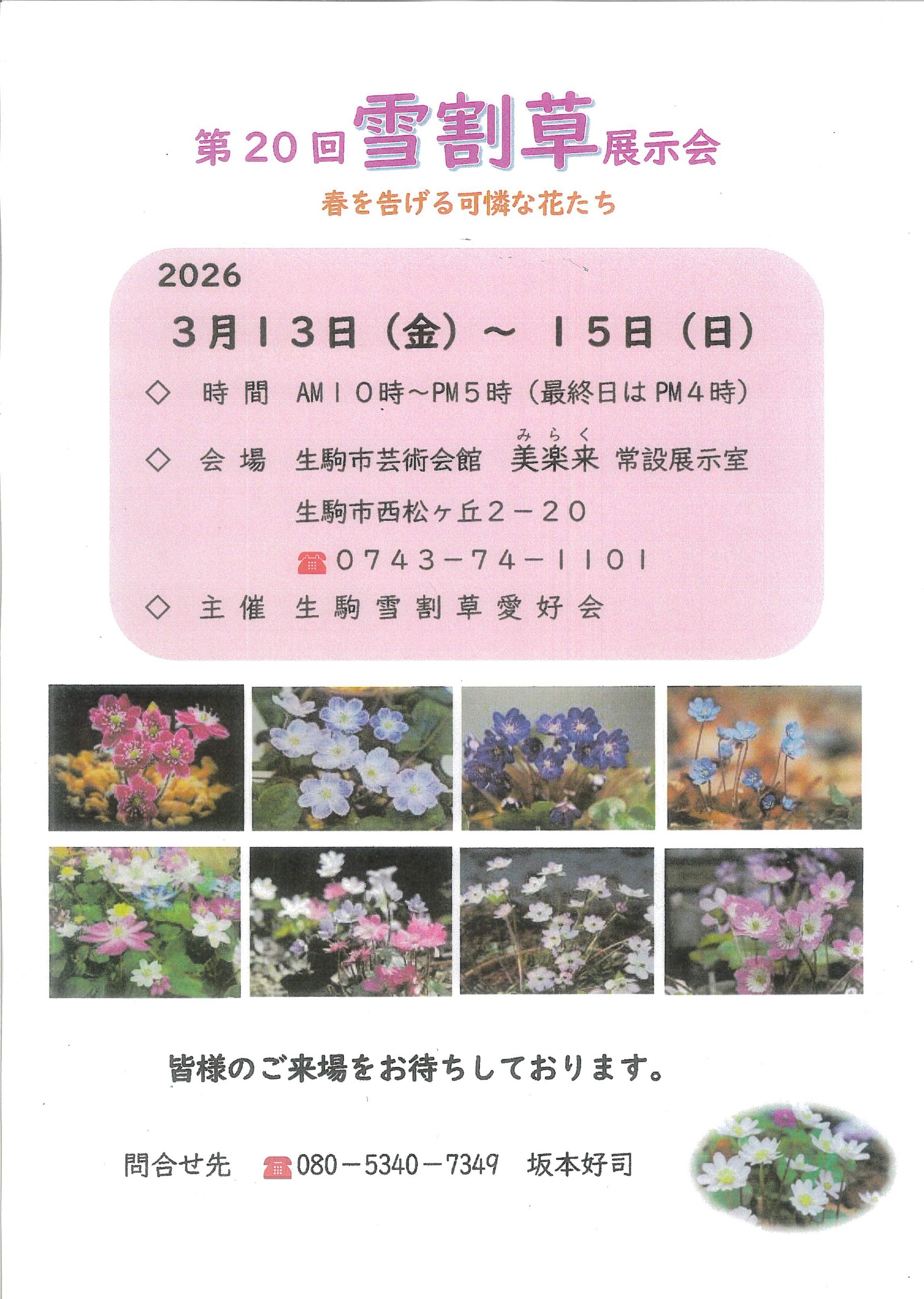 雪割草展示会_page-0001